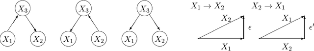 Figure 1 for Functional Linear Non-Gaussian Acyclic Model for Causal Discovery