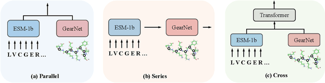Figure 2 for Enhancing Protein Language Models with Structure-based Encoder and Pre-training