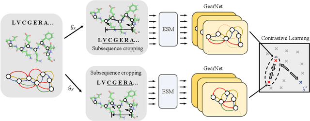Figure 3 for Enhancing Protein Language Models with Structure-based Encoder and Pre-training