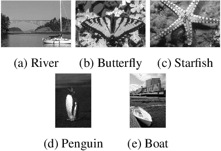 Figure 1 for Weighted Anisotropic-Isotropic Total Variation for Poisson Denoising