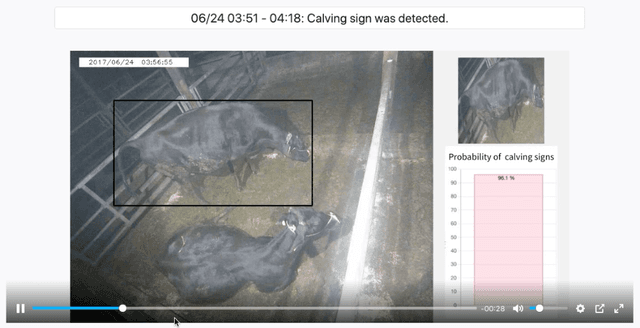 Figure 4 for Video Surveillance System Incorporating Expert Decision-making Process: A Case Study on Detecting Calving Signs in Cattle