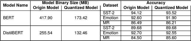 Figure 1 for The Impact of Quantization on the Robustness of Transformer-based Text Classifiers