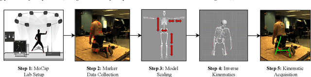 Figure 3 for Deep learning-based estimation of whole-body kinematics from multi-view images