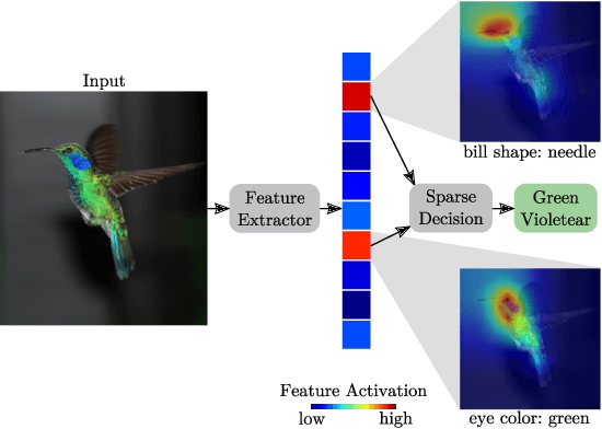 Figure 1 for Take 5: Interpretable Image Classification with a Handful of Features