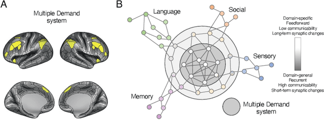 Figure 1 for Building artificial neural circuits for domain-general cognition: a primer on brain-inspired systems-level architecture