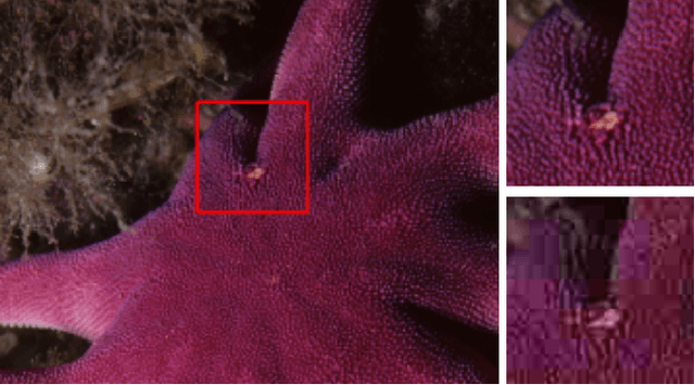 Figure 1 for CISRNet: Compressed Image Super-Resolution Network