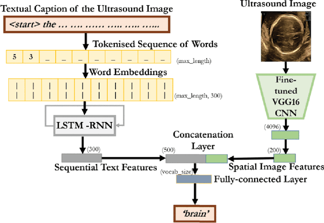 Figure 3 for Advancing Medical Imaging with Language Models: A Journey from N-grams to ChatGPT