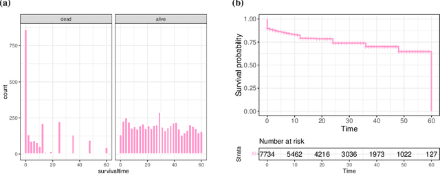 Figure 1 for Interpretable Machine Learning for Survival Analysis