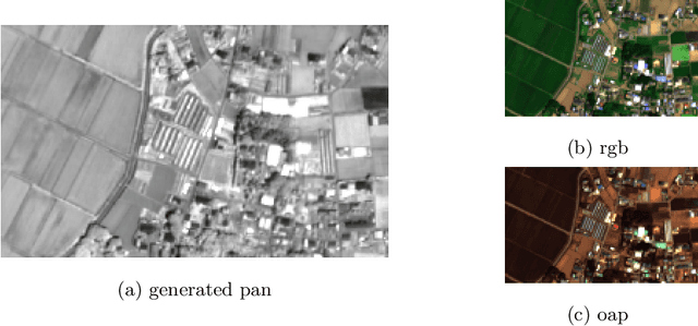 Figure 1 for Understanding Pan-Sharpening via Generalized Inverse