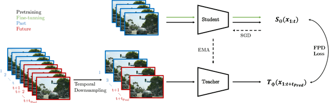 Figure 1 for Temporal DINO: A Self-supervised Video Strategy to Enhance Action Prediction