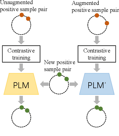 Figure 1 for Prompt Tuning Pushes Farther, Contrastive Learning Pulls Closer: A Two-Stage Approach to Mitigate Social Biases