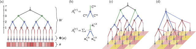 Figure 1 for Machine learning with tree tensor networks, CP rank constraints, and tensor dropout