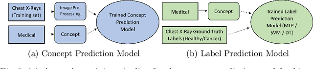 Figure 3 for Transparent and Clinically Interpretable AI for Lung Cancer Detection in Chest X-Rays