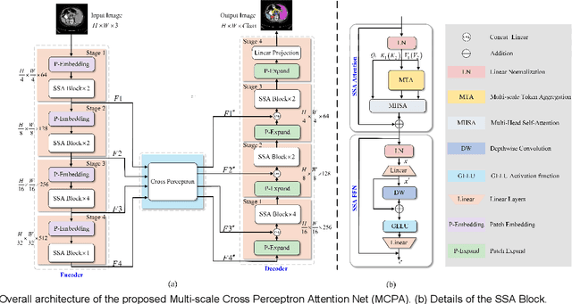 Figure 1 for MCPA: Multi-scale Cross Perceptron Attention Network for 2D Medical Image Segmentation