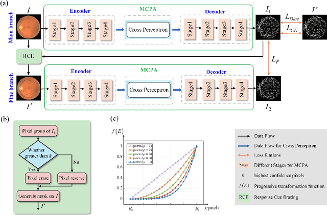 Figure 3 for MCPA: Multi-scale Cross Perceptron Attention Network for 2D Medical Image Segmentation