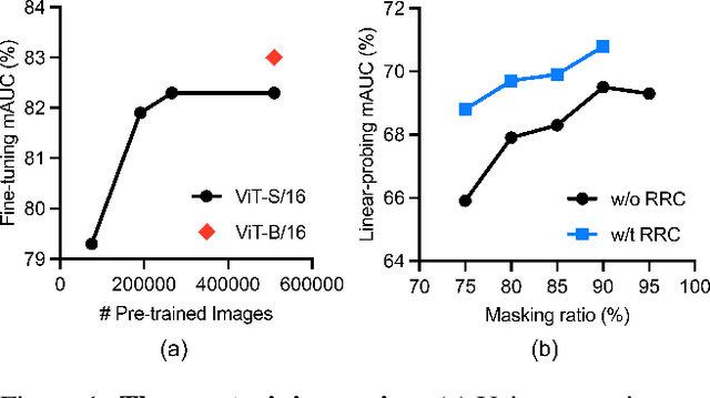 Figure 1 for Delving into Masked Autoencoders for Multi-Label Thorax Disease Classification