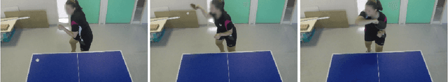 Figure 1 for Sport Task: Fine Grained Action Detection and Classification of Table Tennis Strokes from Videos for MediaEval 2022