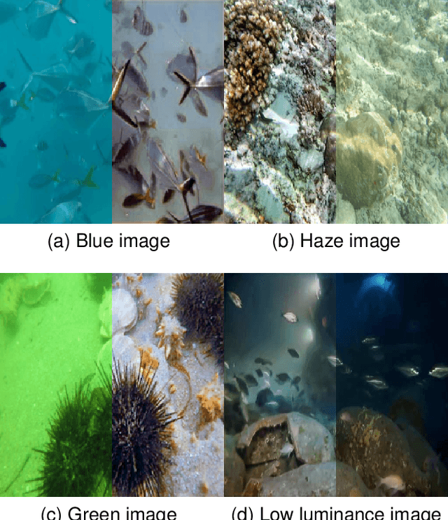 Figure 1 for MetaUE: Model-based Meta-learning for Underwater Image Enhancement