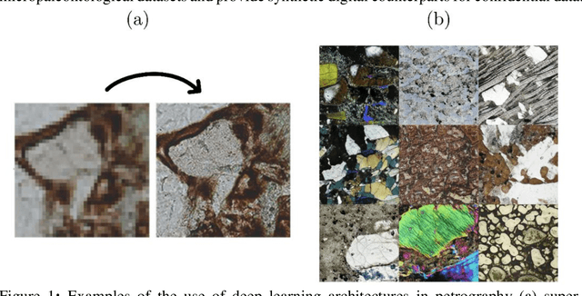 Figure 1 for ForamViT-GAN: Exploring New Paradigms in Deep Learning for Micropaleontological Image Analysis