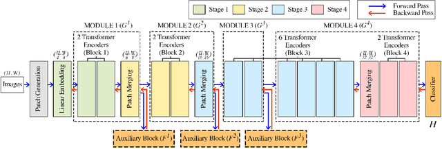 Figure 1 for Local Learning on Transformers via Feature Reconstruction