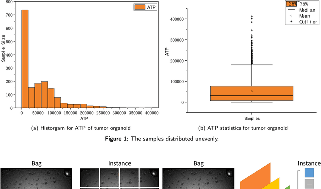 Figure 1 for Ins-ATP: Deep Estimation of ATP for Organoid Based on High Throughput Microscopic Images