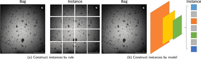 Figure 3 for Ins-ATP: Deep Estimation of ATP for Organoid Based on High Throughput Microscopic Images