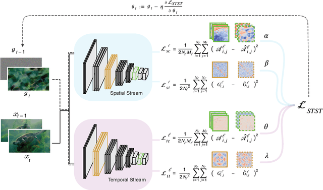 Figure 1 for A spatiotemporal style transfer algorithm for dynamic visual stimulus generation