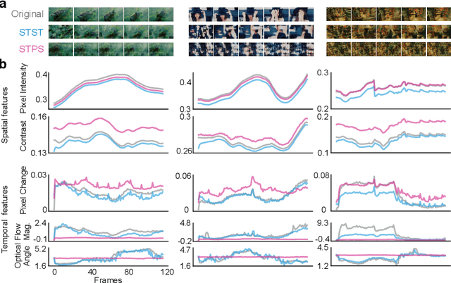 Figure 2 for A spatiotemporal style transfer algorithm for dynamic visual stimulus generation