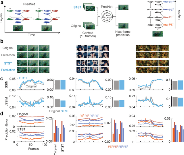 Figure 4 for A spatiotemporal style transfer algorithm for dynamic visual stimulus generation