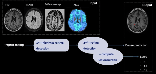 Figure 1 for Prior-knowledge-informed deep learning for lacune detection and quantification using multi-site brain MRI