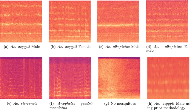 Figure 4 for Acoustic Identification of Ae. aegypti Mosquitoes using Smartphone Apps and Residual Convolutional Neural Networks