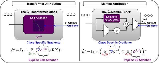 Figure 3 for The Hidden Attention of Mamba Models