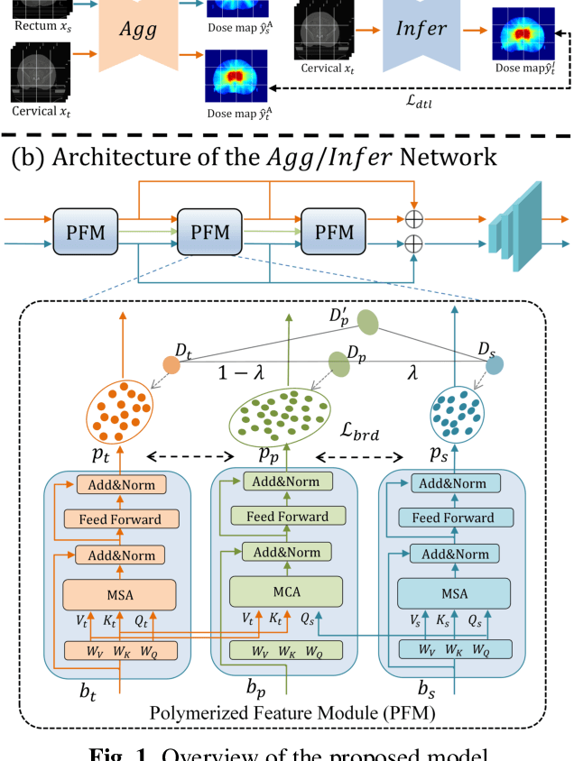 Figure 1 for Polymerized Feature-based Domain Adaptation for Cervical Cancer Dose Map Prediction