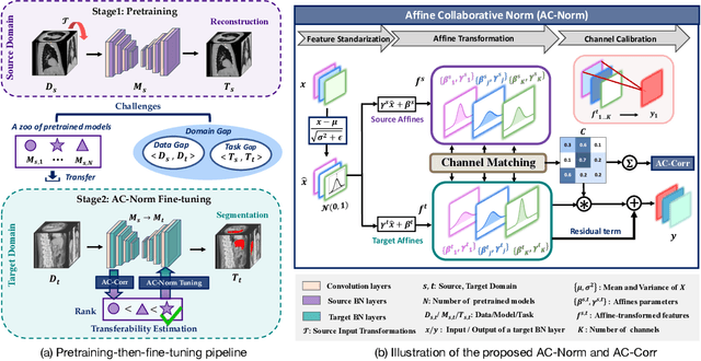 Figure 4 for AC-Norm: Effective Tuning for Medical Image Analysis via Affine Collaborative Normalization