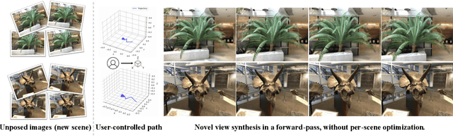 Figure 1 for Drag View: Generalizable Novel View Synthesis with Unposed Imagery