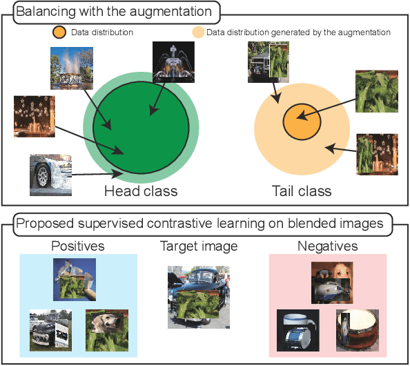 Figure 1 for Supervised Contrastive Learning on Blended Images for Long-tailed Recognition