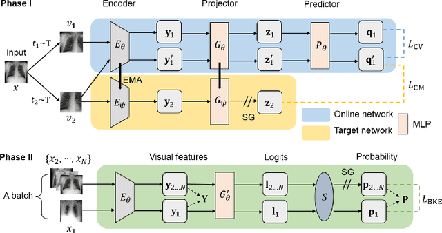Figure 1 for Boosting Automatic COVID-19 Detection Performance with Self-Supervised Learning and Batch Knowledge Ensembling