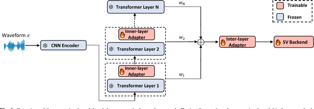 Figure 1 for Efficient Adapter Tuning of Pre-trained Speech Models for Automatic Speaker Verification