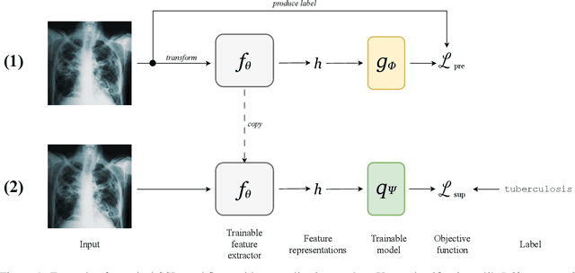 Figure 1 for A Survey of the Impact of Self-Supervised Pretraining for Diagnostic Tasks with Radiological Images