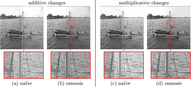 Figure 2 for Image Blending with Osmosis