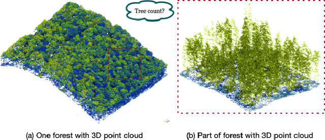 Figure 1 for Tree Counting by Bridging 3D Point Clouds with Imagery