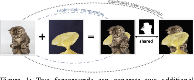 Figure 1 for Infusing Definiteness into Randomness: Rethinking Composition Styles for Deep Image Matting
