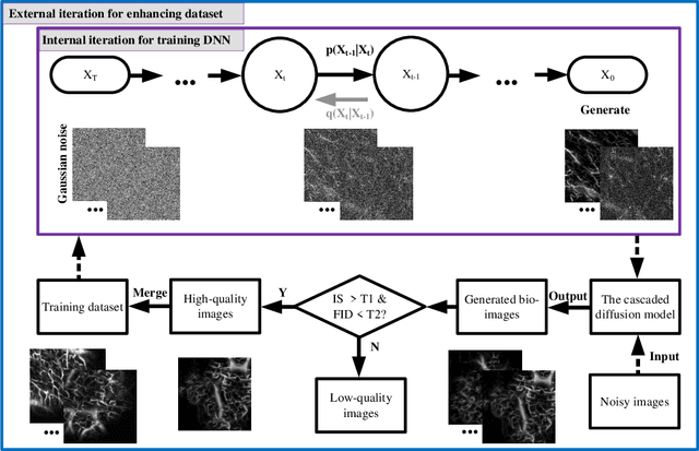 Figure 1 for Iterative-in-Iterative Super-Resolution Biomedical Imaging Using One Real Image