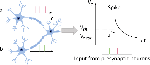 Figure 1 for Brain-inspired Evolutionary Architectures for Spiking Neural Networks