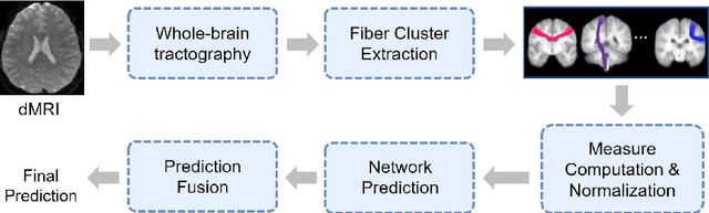 Figure 1 for Fiber Tract Shape Measures Inform Prediction of Non-Imaging Phenotypes