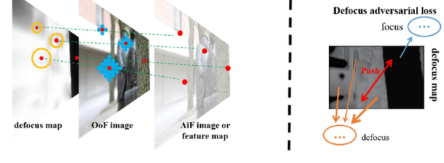 Figure 3 for Learnable Blur Kernel for Single-Image Defocus Deblurring in the Wild