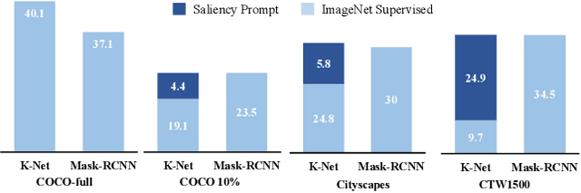 Figure 1 for Boosting Low-Data Instance Segmentation by Unsupervised Pre-training with Saliency Prompt