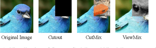 Figure 1 for ViewMix: Augmentation for Robust Representation in Self-Supervised Learning