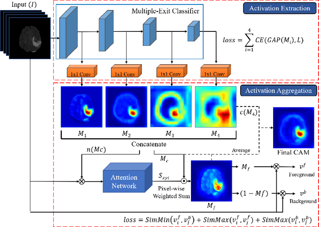 Figure 1 for AME-CAM: Attentive Multiple-Exit CAM for Weakly Supervised Segmentation on MRI Brain Tumor