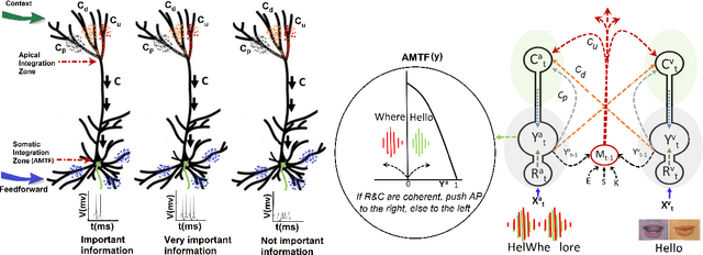 Figure 4 for Unlocking the potential of two-point cells for energy-efficient training of deep nets